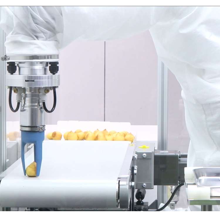 6-Axis CNC Robotic Arm with Li - Linear Rail ulasan dan harga